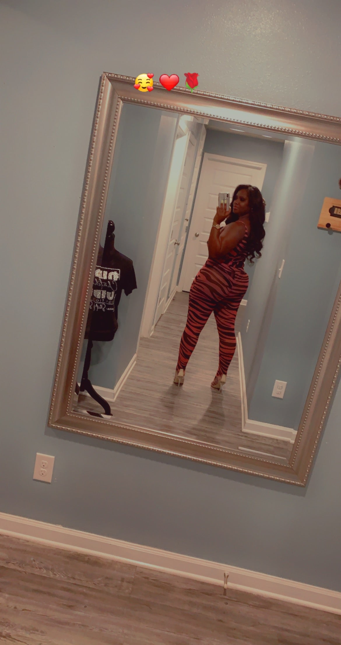 Pink Zebra